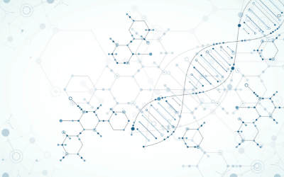 サーチュイン（長寿）遺伝子活性化